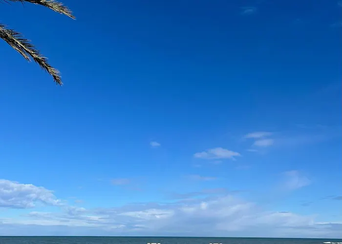 Frente Al Mar, Talima *